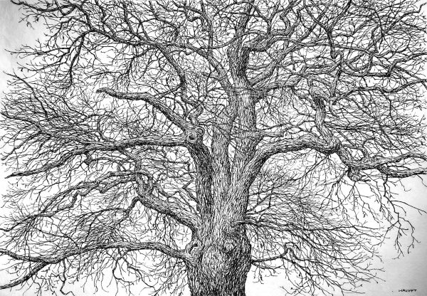 The Rhythm of the Winter Branches II